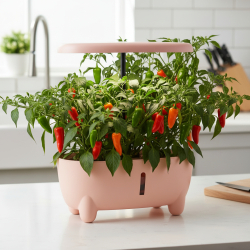 Purum Smart Hydroponic Garden System L1 Peach-Pink