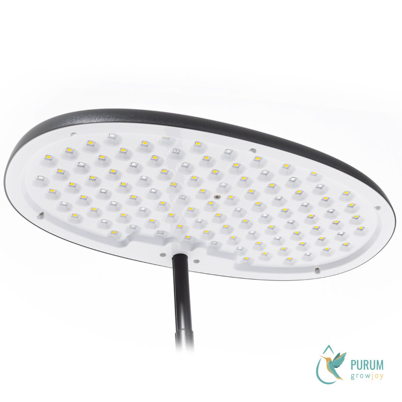 Transparent Smart Garden