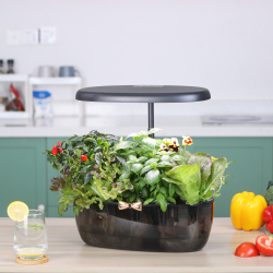 Transparent Smart Garden