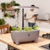 Purum Smart Hydroponic Garden System L1 Peach-Gray